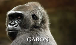 Gabon