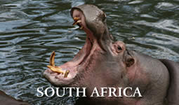 South Africa