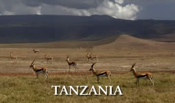 Tanzania