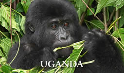 Uganda