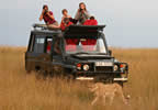 Safari Destinations
