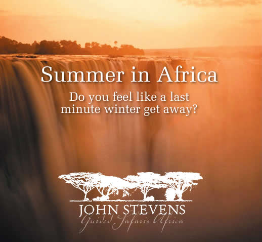 Summer in Africa