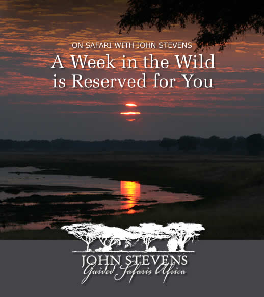 A Week in the Wild is Reserved for You