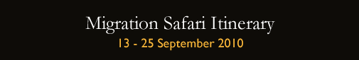 Migration Safari