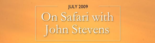 On Safari with John Stevens 