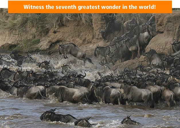 Witness the seventh greatest wonder in the world!