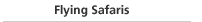 Flying Safaris