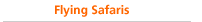 Flying Safaris