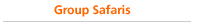 Group Safaris